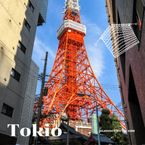 Knitting and Yarn in Tokio